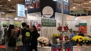 A IPM Essen, chaque fin janvier en Allemagne, les exposants bénéficient d’une bonne visibilité sous l’identité France, et d’un accompagnement complet afin d’aider à développer ses activités à l’export. ©Odile Maillard